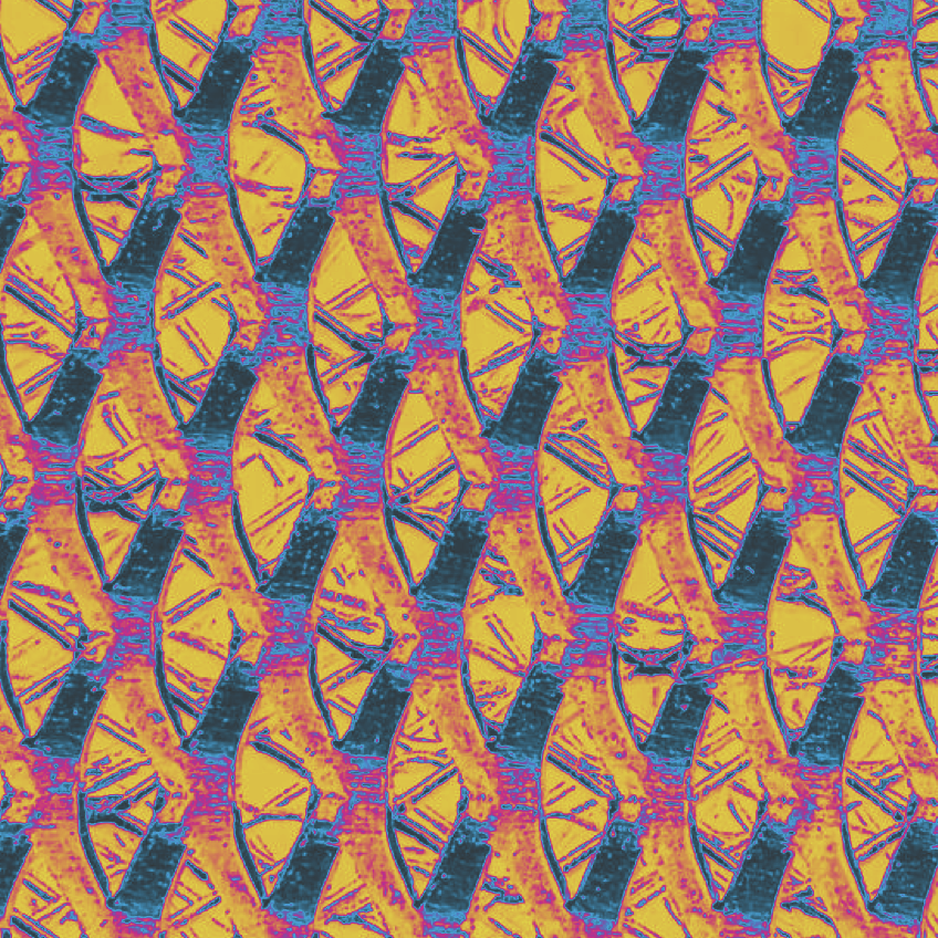 CPDP